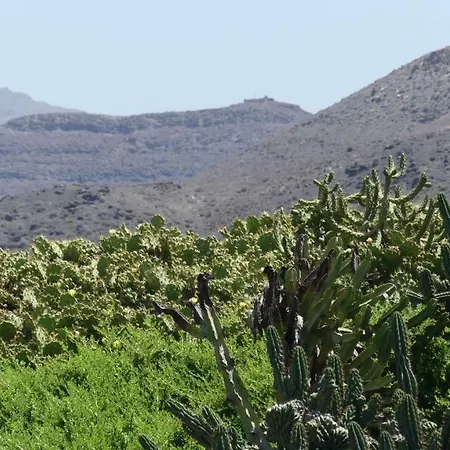 Lejlighed Penthouse Sunrise Blue Ocean View